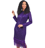 Diana 8564 purple sequin dress