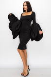 Black Petal Sleeve Sheath Dress